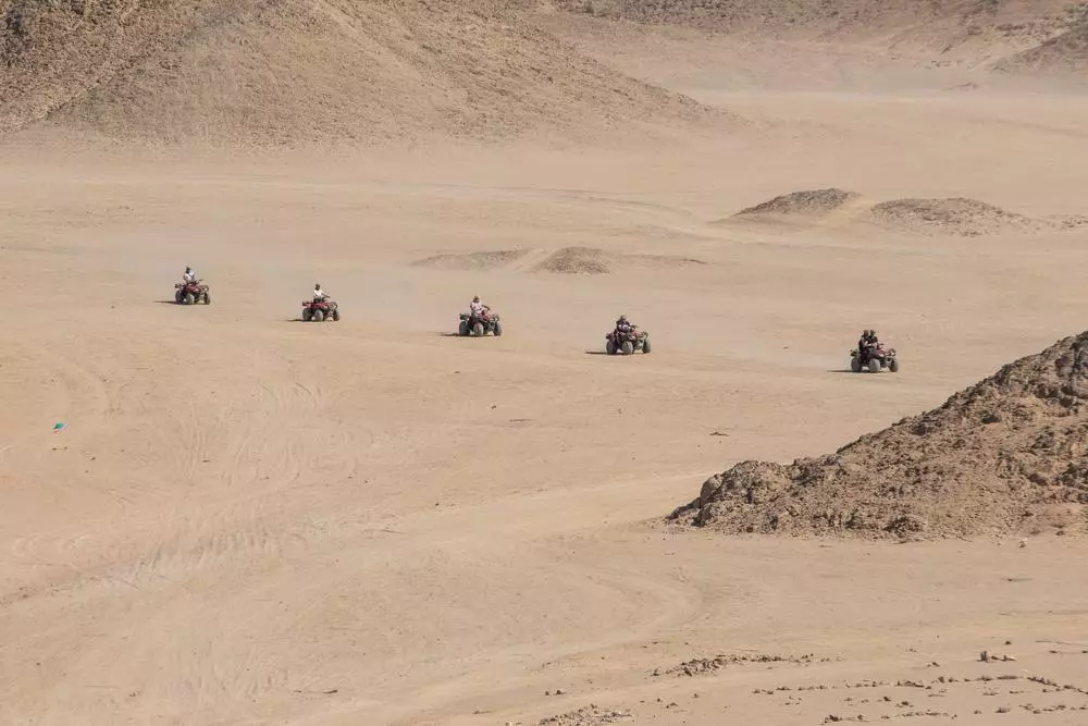 Quads driving desert
